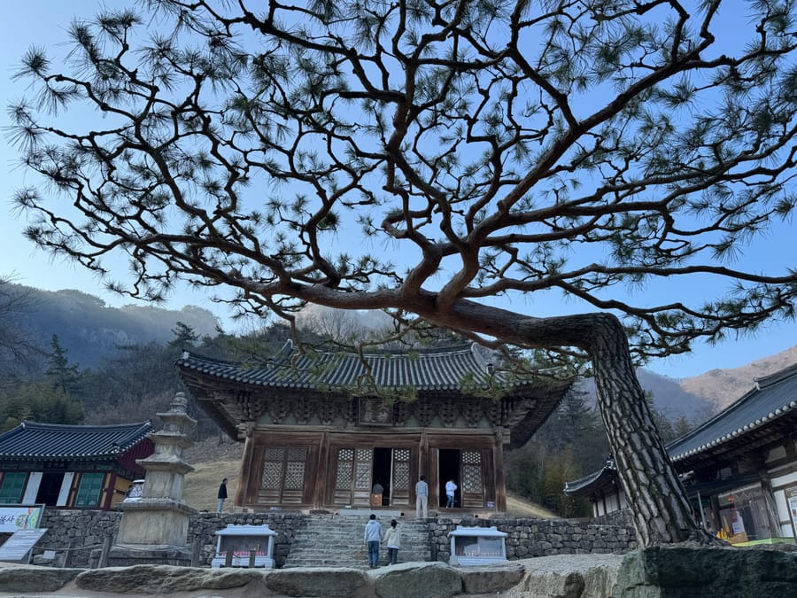 선운사