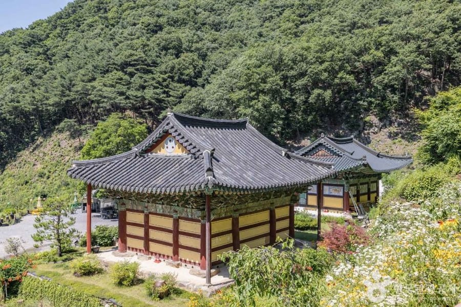 월리사