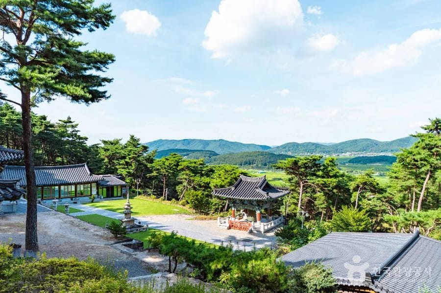 보리사