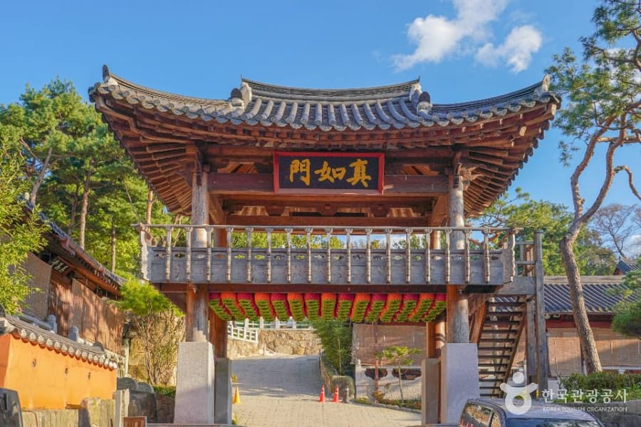 달마사