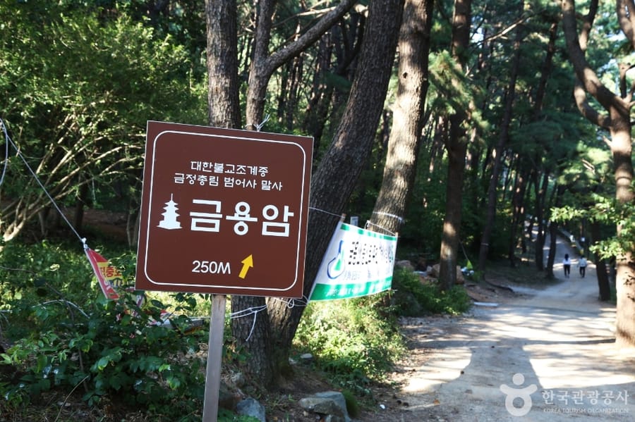 금용암