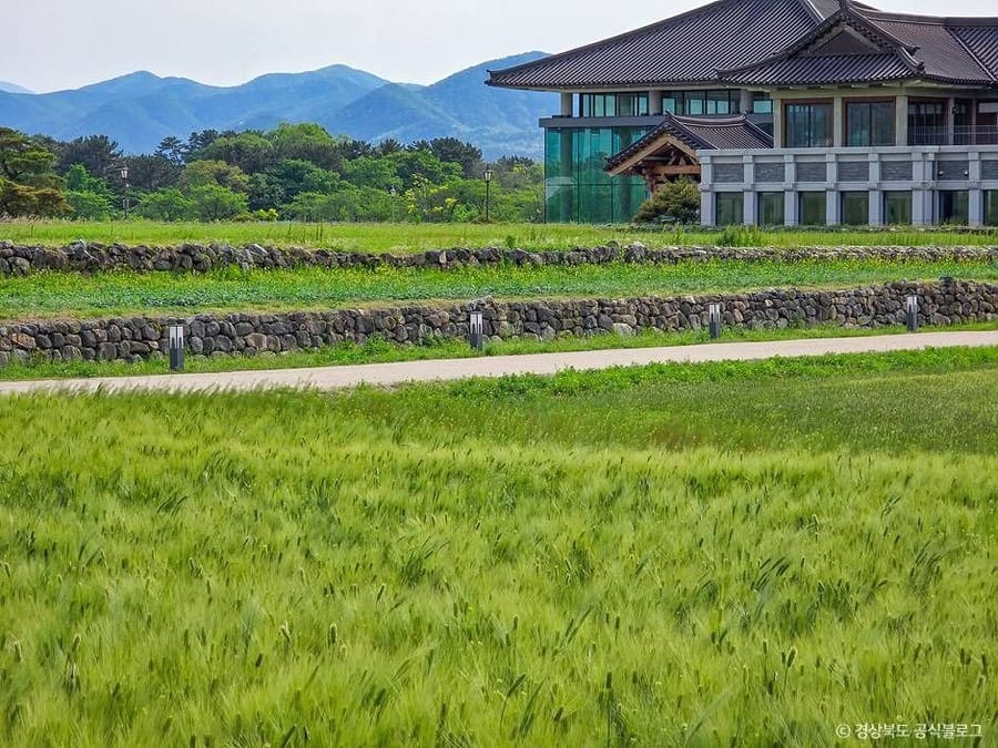 황룡사지