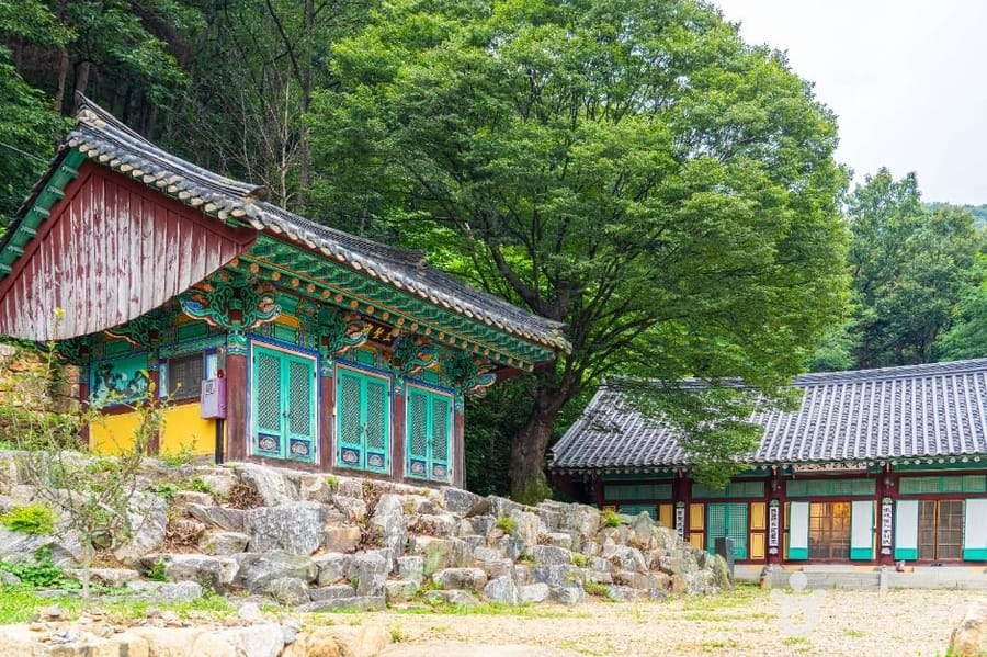 청원사