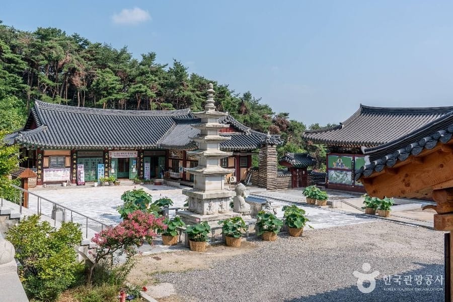 만기사