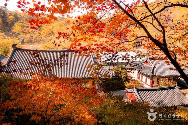 수타사