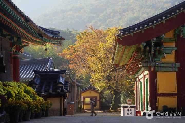 갑사