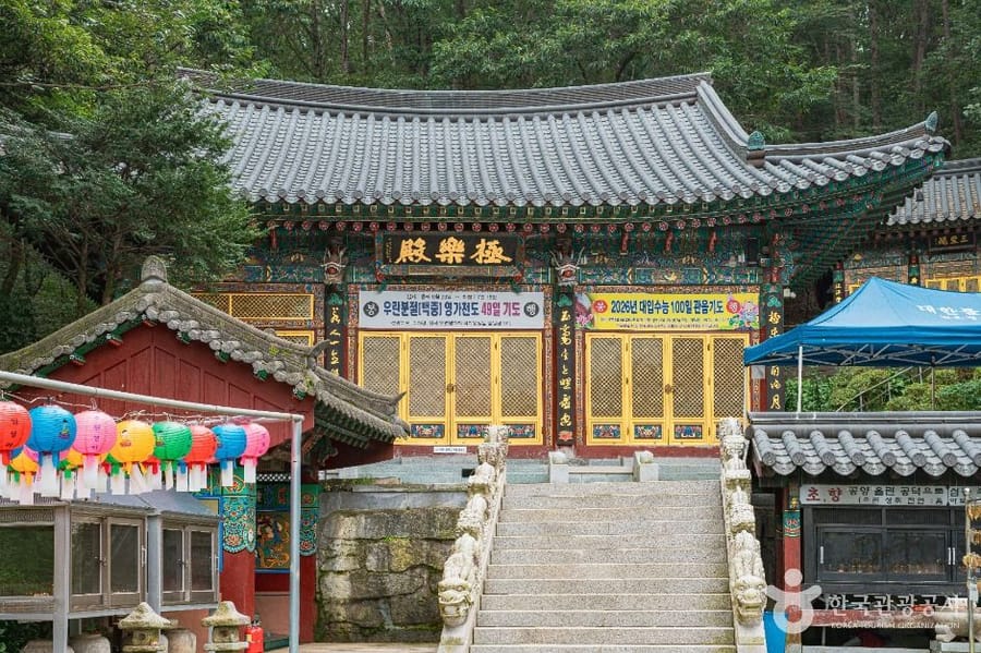 천은정사