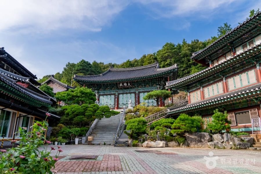 신광사(세종)