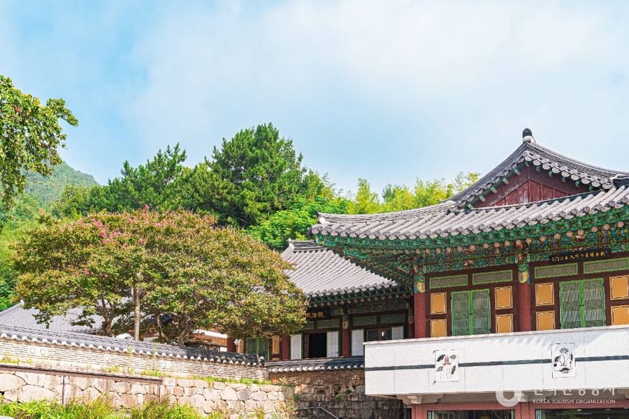 심향사