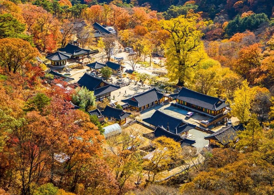 용문사(양평)