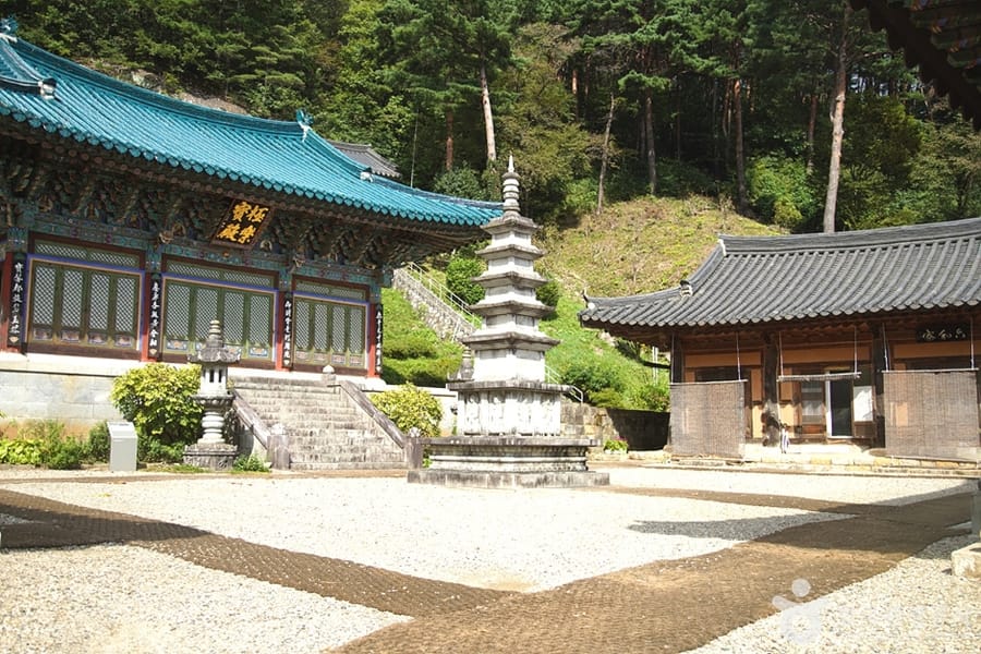 천은사