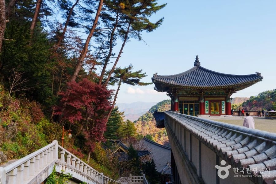 구인사