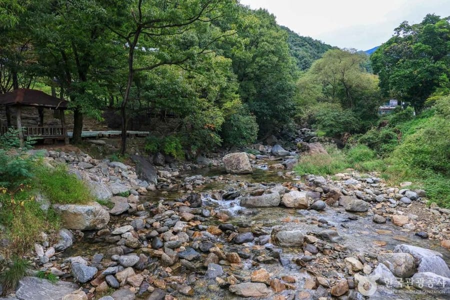 사나사