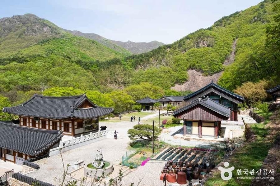 반야사