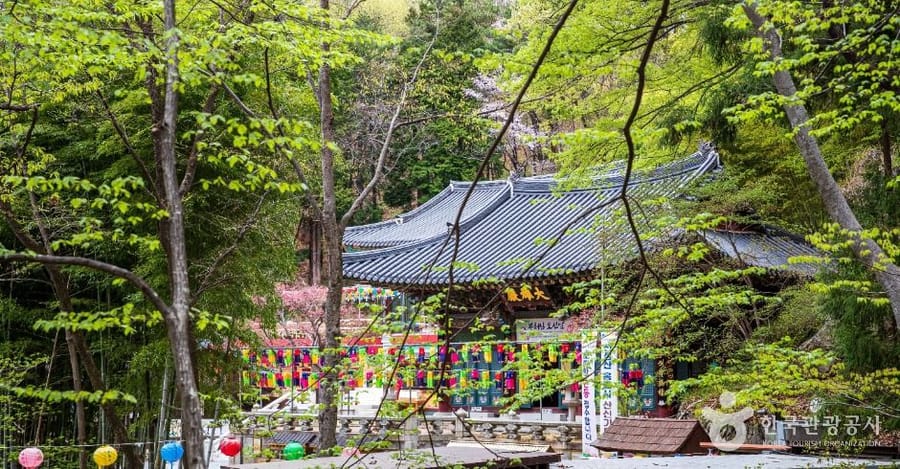 홍룡사